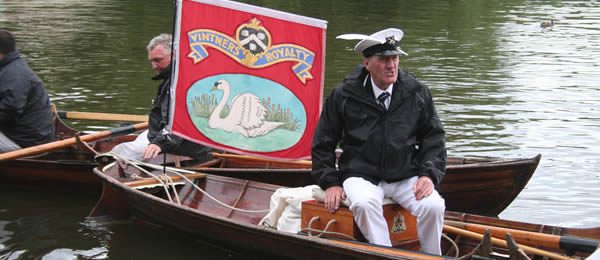 Image of man in a small boart Swan Upping on the Thames near Mouslford